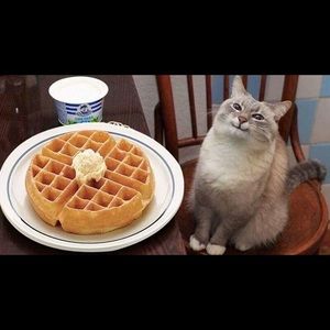 Meet your Posher, Paul